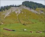 . A steam train is running on the BRB track between Planalp and Chemad on September 28th, 2013.