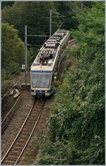 The FART/SSIF Fast-Train Locarno -Domodossoal D32 near Trontano.