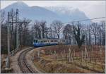 The ferrovia vigezzina SSIF ABe 8/8 22  Ticino  to Re near Trontano.