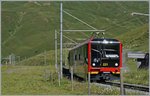 The new Jungfraubahn train Bhe 4/8 221 near the kleine Scheidegg.
08.08.2016