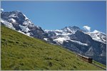 Two Bhe 4/4 on the way to the JUngfraujoch.