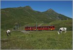 The BDeh 2/4 208 and Bt between the Kleine Schiedegg and the Eigergletscher Station. 08.08.2016