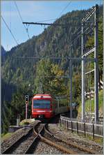 A M-C local train is leaving Trient on the way to Châtelard.
 
03.10.2014