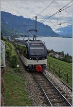 The MOB Alpina 9202 wiht his local Train tou Zweisimmen over Montreux near Châtelard VD.