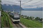 The MVR ABeh 2/6 7503  Blonay-Chamby  on the way to Les Avants over Montreux near the Châtelard VD Station.