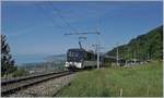 The MOB GDe 4/4 6005 with his PE 2122 from Montreux to Zweisimmen by Sonzier. 09.05.2020