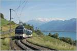 The CEV MVR ABeh 2/6 7504  VEVEY  on the way to Montreux near Planchamp.