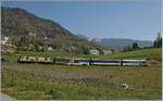 The MOB GDe 4/4 6003 wiht his MOB GoldenPass Panoramic Express by Planchamp. 

14.04.2020