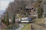 The MOB Ge 4/4 8002 wiht the GoldenPass Belle Epoque PE 2224 from Montreux to Zweisimmen by Chernex.