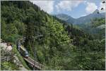 A MOB Panormaic Express Service on the way to Zweisimmen on the Bois des Chenaux Bridge near Les Avants.