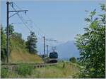 The MOB Ge 474 8002 with his GPX from Montreux to Zweisimmen by Planchamp.
