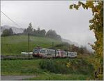 You can also take photos in bad weather, here are four examples of bad weather photos at the MOB: The  Nankai Electric Railway - Sister Railways  MOB  Lenkerpendels  ABt 342 - Be 4/4 5002 - Bt 242 is y Planchamp on the way to Zweisimmen. 

23.10.2020