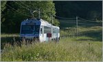 The CEV Beh 2/4 71  Train des Etoiles  near Fayaux.
10.06.2016
