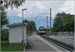 The CEV MVR GTW ABeh 2/6 7505 on the way to the Les Pléides is arriving at the Châtelard d'Huteville Station.
