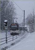 By a snowstorm runs the CEV ABeh 2/6 7501 by Blonay from Vevey to the Les Pleiades. 25.01.2021