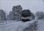 During heavy snowfall, the CEV MVR ABeh 2/6 7507 leaves the Château de Blonay stop on the journey from Vevey to Blonay.
