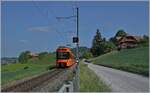 A RBS Be 4/10 by Vechingen on the way to Worb.

14.05.2022