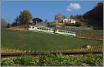 A ASD local train in the vineyards over Aigle.