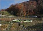 A ASD local train in the vineyards over Aigle.
18.11.2018