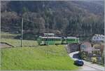 An ASD local train on the way to Aigle in the vineyards over Aigle.

30.03.2021