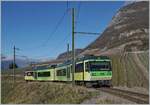 The TPC AOMC ASD Beh 4/8 591 is the R 71 440 service on the way form Aigle to Les Diablerets; here in the vineyard over Aigle.