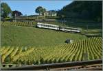 The LEB Be 4/4 wiht his Bt is engaged in an ASD Local train service here by over Aigle in the vineyards. 21.10.2010


