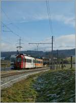 A TPF local train is leaving Bossennens. 
12.01.2013