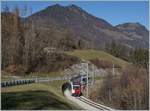 A TPF SURF local train service to Montbovon by Lessoc. 

26.11.2020