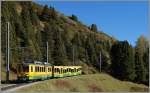 WAB local train between KLeine Scheidegg and Wengeralp. 
09.10.2014
