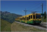 A WAB train to the Kleine Scheidegg is arring at the Wengeneralp.
08.08.2016