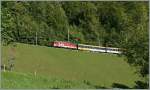 And the old De 110 run all day every times; here with a  GoldenPass  by Oberried. 
27.08.2012