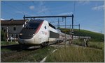 TGV Lyria 9768 from Geneva to Pris in Russin.
20.06.2016