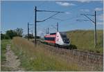The TGV Lyria 4724 from Paris to Lausanne by Arnex. 

25.07.2020
