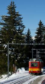 tpc--bvb-bex---villars---bretaye A little train an a big tree.
08.02.2010