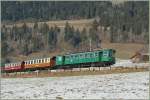 tpf-ex-gfm The old CEG/GFF/TPF be 4/4 116 with a special train by Ch�teau d'Oex. 
23.01.2011