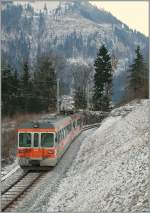 tpf-ex-gfm TPF/GFM local train in the Vally by Montbovon. 
23.01.2011.