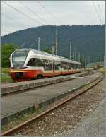 RTV/TRN local train in ...  Stefan Wohlfahrt 19.11.2010