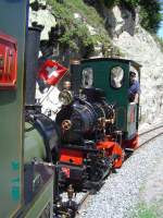 2 ft gauge steam ...  Thomas Br�ndle 09.11.2011