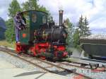 2 ft gauge steam ...  Thomas Br�ndle 09.11.2011