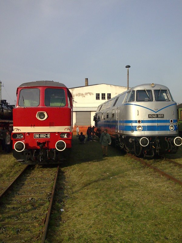 BR 130 & V 240,
www.igbwdresdenaltstadt.de  