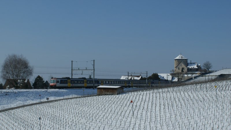 Winter in the vineyards. NPZ by Lutry on the 19. 02.2009