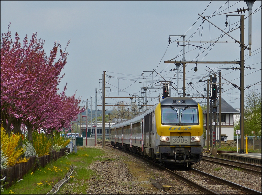 . 3005 is hauling the IR 115 Liers - Luxembourg City into the station of Mersch on May 3rd, 2013.