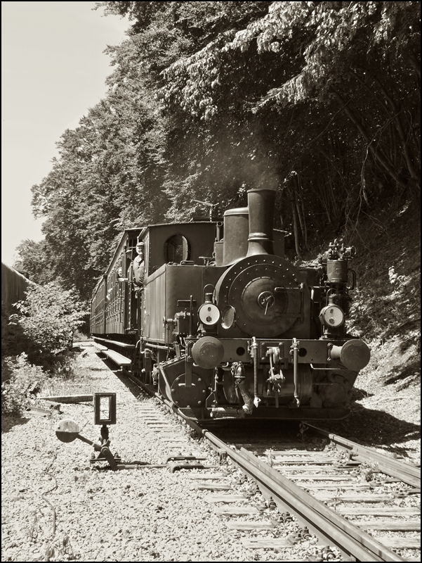 . A steam train of the heritage railway  Train 1900  is arriving in Fond de Gras on June 16th, 2013.