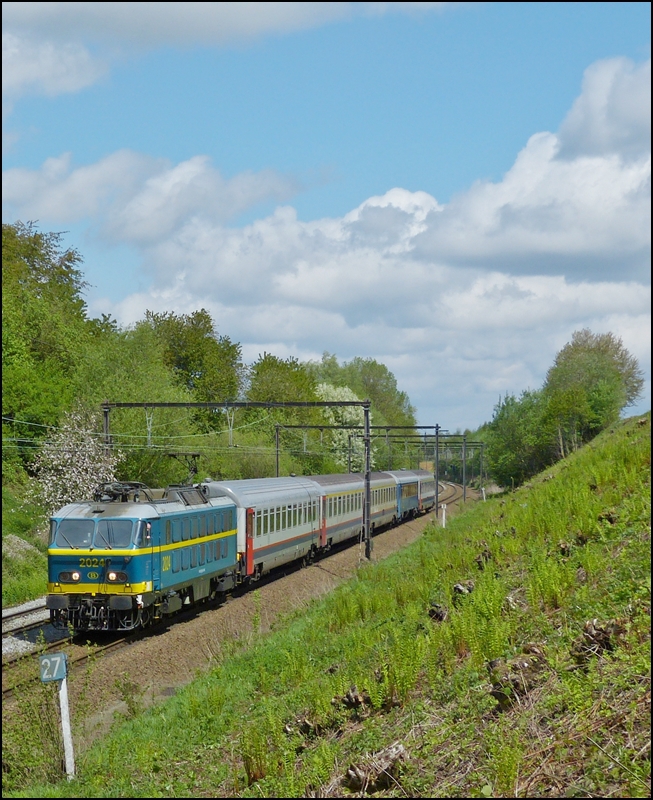 . The special train  Adieu Srie 20  photographed near Braine-le-Comte on May 11th, 2013.