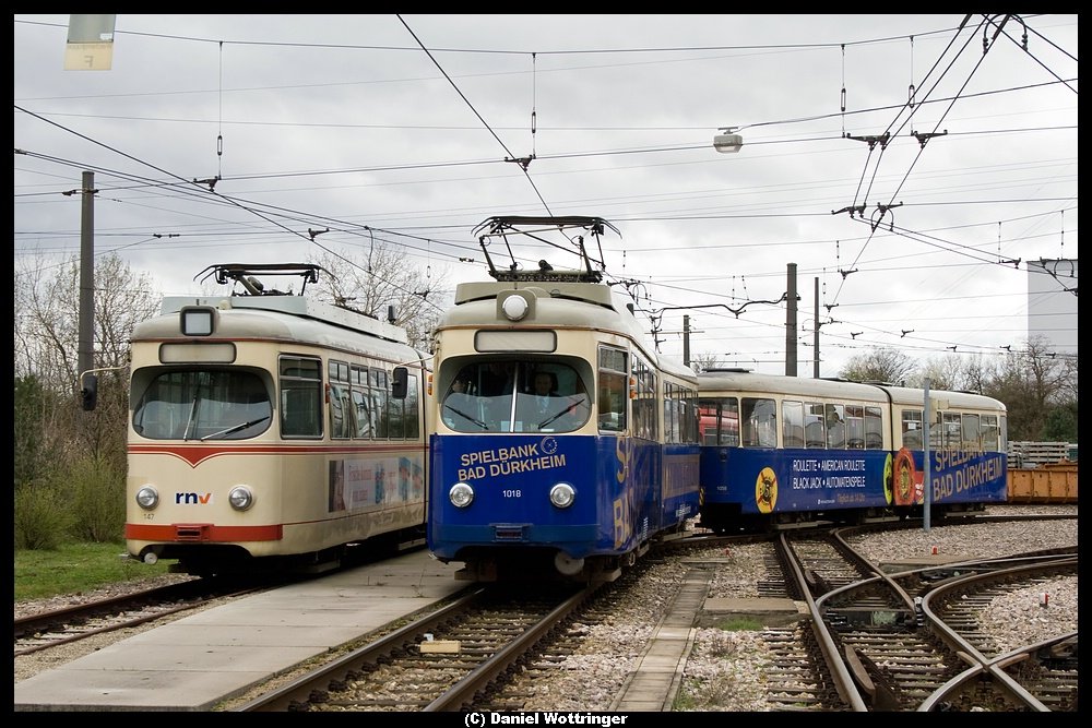 147 and 1018 in Rheingnheim. 16.03.2008