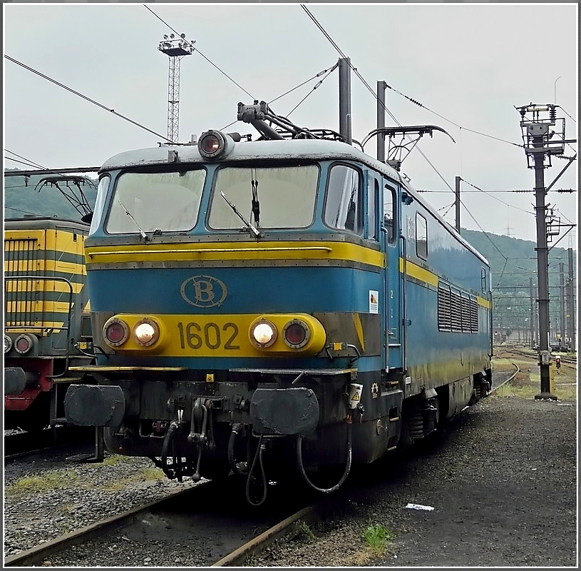 1602 photographed at Kinkempois on May 18th, 2008. In 1966, eight locomotives of this series were taken in service by the SNCB, to ensure the international market. In the seventies, 1601 and 1602 were provided with a fourth smaller pantograph, so that they could run to Switzerland with the train  Freccia del Sole , which related Brussels to Spiez from 1974 to 1978.   