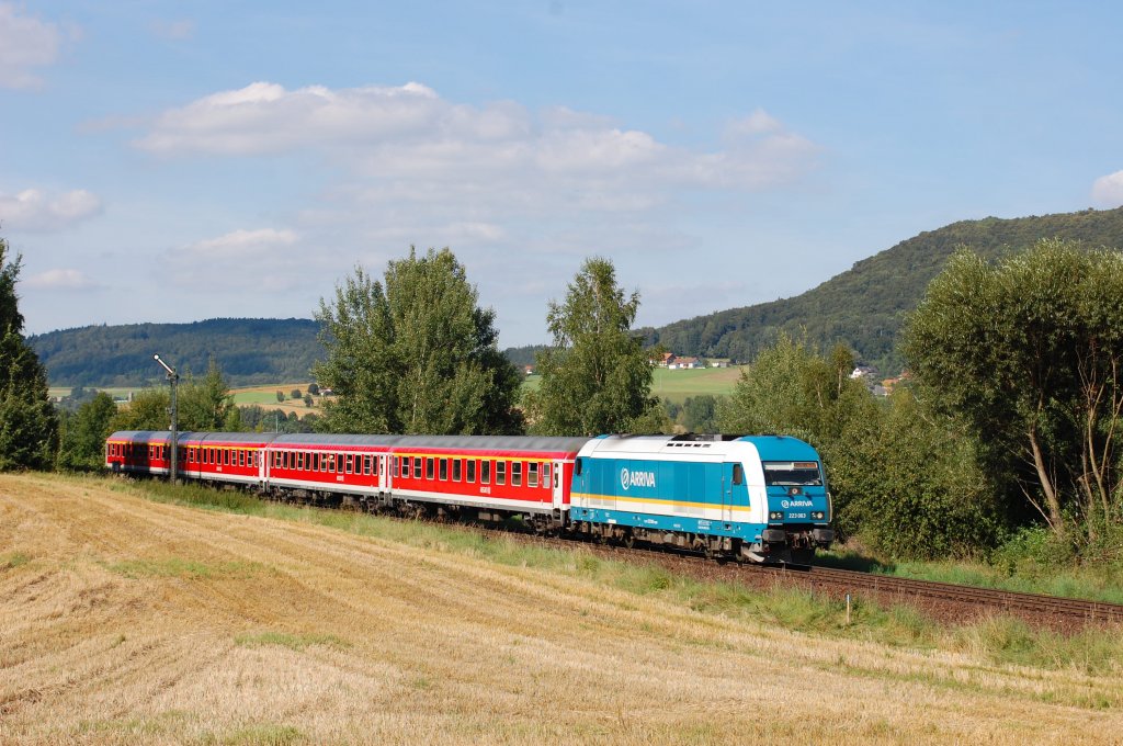 223 063 on 15.08.2009 with R352 near Furth im Wald