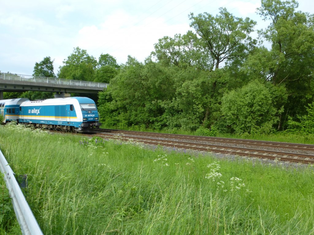 223 067 is driving between Oberkotzau and Hof, June 9th 2013.