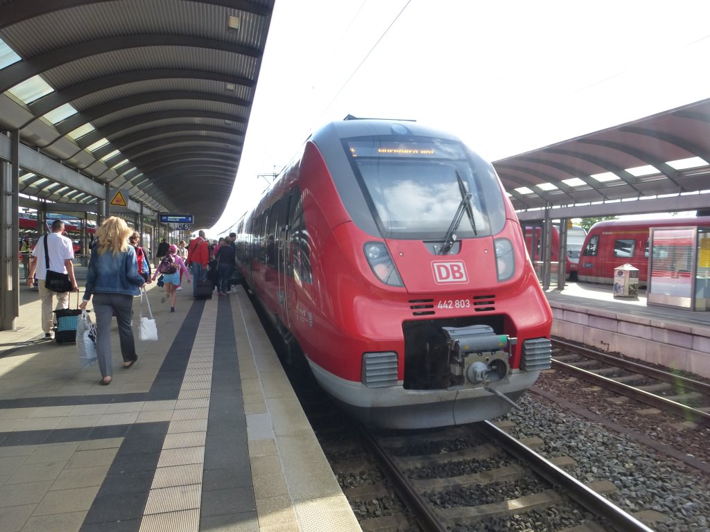 442 803 is standing in Bamberg on June 23th 2013.