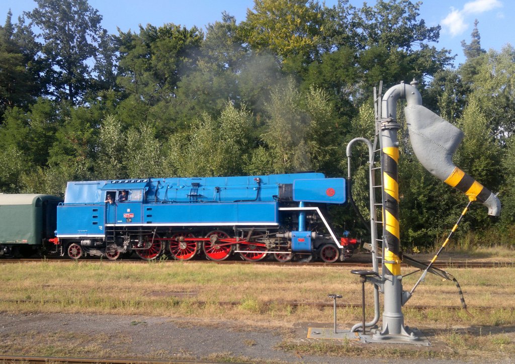 477 043  parrot  at the Railway station Lun u Rakovnka in 2012:09:08 